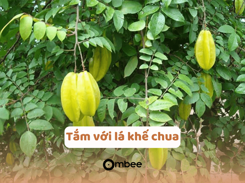 meo-dan-gian-tri-ngua-cho-ba-bau-2