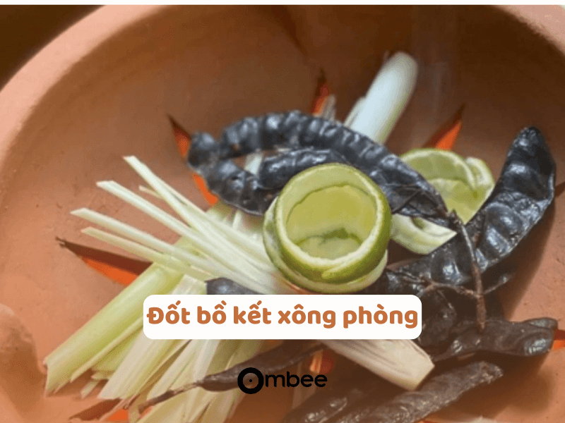 tre-so-sinh-phai-via-4