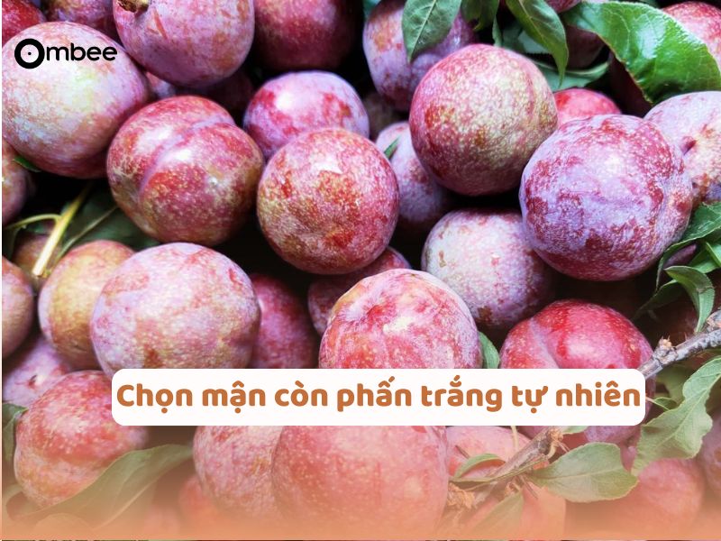 bau-an-man-duoc-khong-3