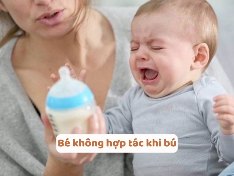 sua-me-vat-ra-de-ngoai-co-can-ham-nong-khong-5