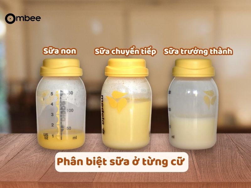 co-nen-vat-bo-sua-dau-khi-cho-con-bu