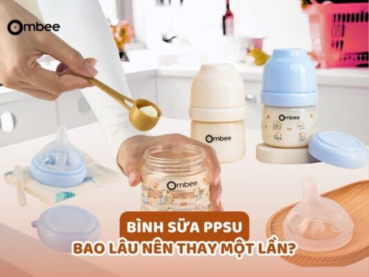 binh-sua-ppsu-bao-lau-thay-1-lan